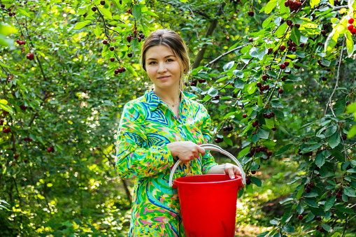 Portrait of woman in colorful dress holding the red bucket with ripe cherries in the garden and looking at the camera