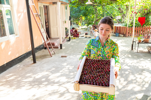 Closeup of woman in colorful dress holding wooden box with cherries