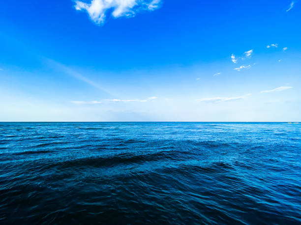 istock Tranquil Seascape: Horizon over Blue Ocean with Cloudy Sky and Wind Waves 1497375962