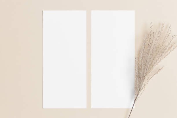 istock Two menu cards mockup with a reed pampas deocoration, 4x9 ratio. 1497379969