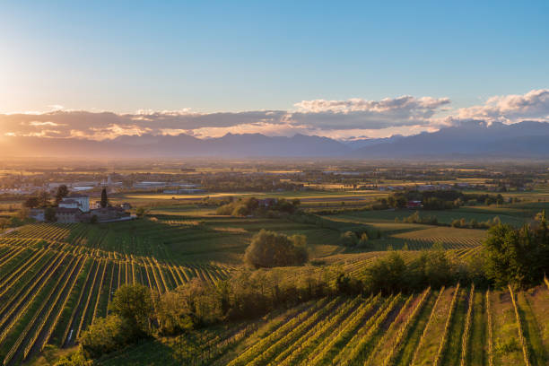 istock Spring sunset in the vineyards of Rosazzo 1497381122