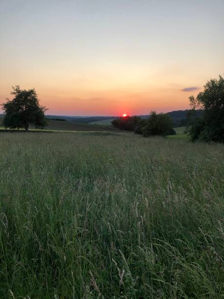 istock Valley view across a meadow with a beautiful sunset 1497387050