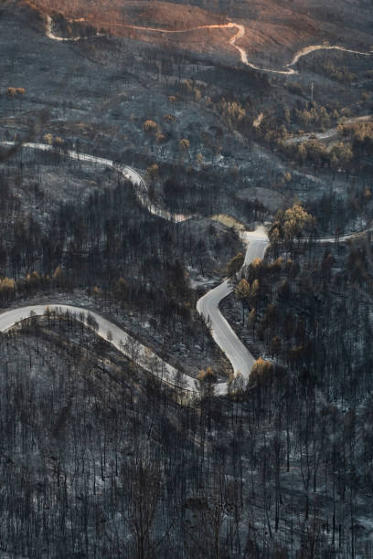 istock Mountain Road surrounded by burnt forest after bush fire - Disaster Climate change problem in Spain 1497390490