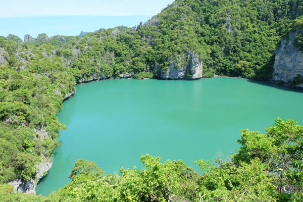 istock beautiful sea view on sunny day in Thailand 1497398988