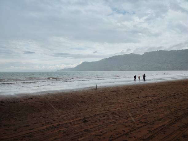 istock Beautiful nature minimalist view at the beach 1497399177
