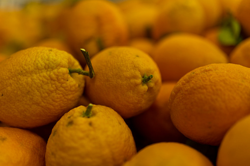 Sicilian lemons on the historic balcony at Piazza Duomo, Syracuse, Italy, Europe