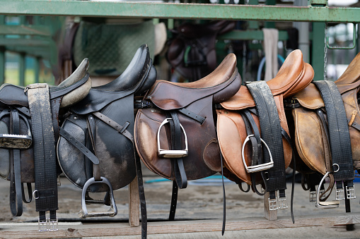 Many saddles lined up
