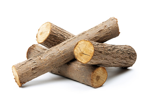 Several cut willow logs isolated over white background