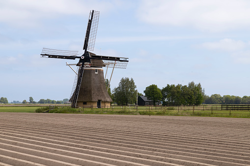 Octagonal windmill near the village of Marrum in Friesland.