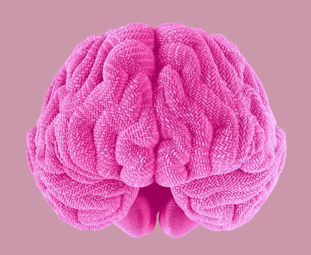 istock Fluffy soft female human brain imitation in pink 1497429417