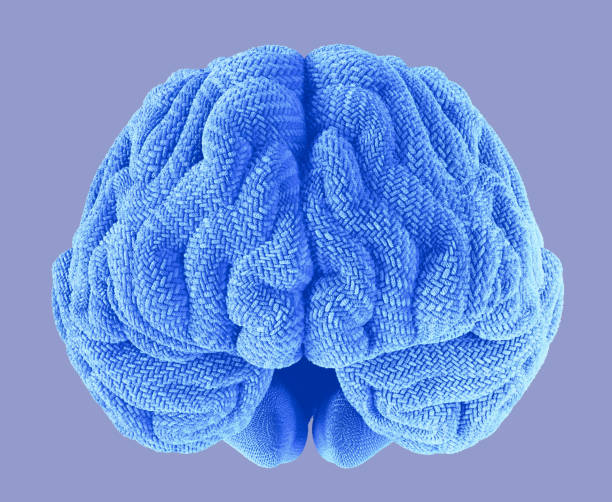 istock Fluffy soft male human brain imitation in blue 1497429420