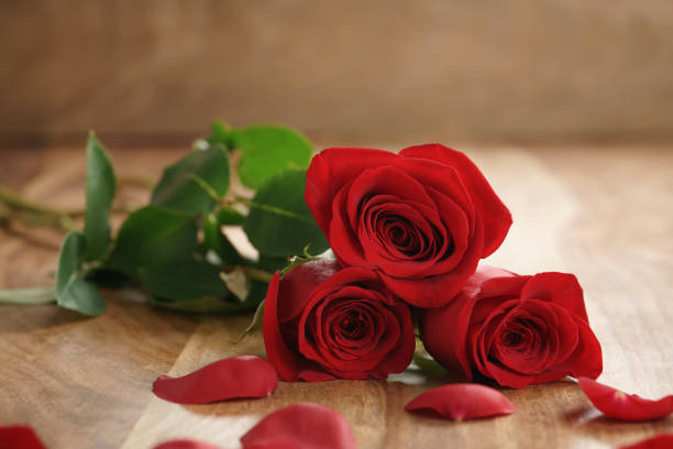 istock three red roses and petals on old wood table with copy space 1497430474