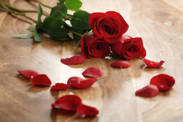 istock three red roses and petals on old wood table 1497430645