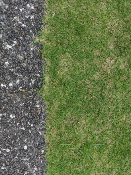 istock Texture of small stone rubble and green grass. Yard floor decoration. 1497430657