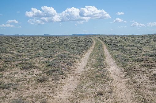 The Oregon Trail were horse drawn wagons passed through Wyoming taking pioneers to Oregon, in western USA, North America