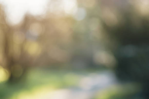 istock abstract green park or garden blurred background 1497439224