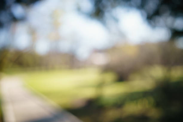 istock abstract green park or garden blurred background 1497439404