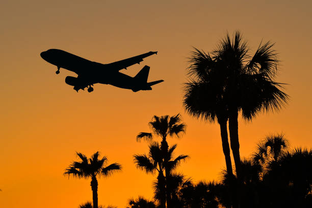istock Holiday jet flying low over palm trees at sunset 1497441747