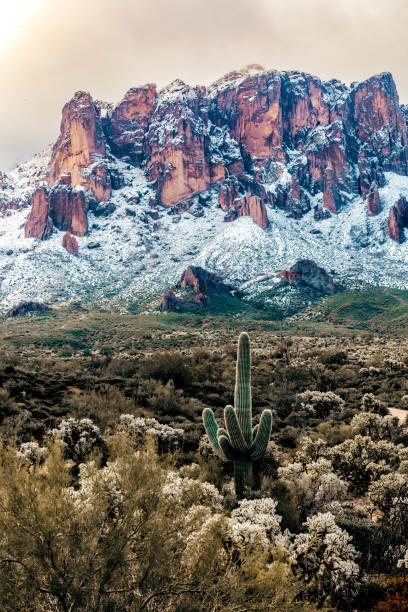 Fresh snow fall on mountains in early morning light