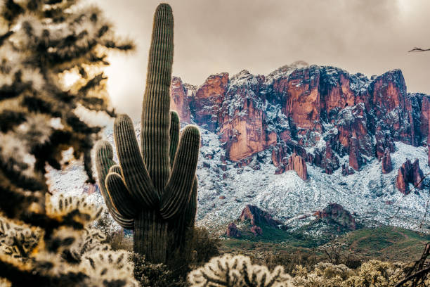 istock Fresh snow fall on mountains in early morning light 1497448450