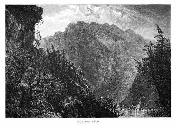 +30 Foresta Nazionale Di Allegheny Illustrazioni stock, grafiche