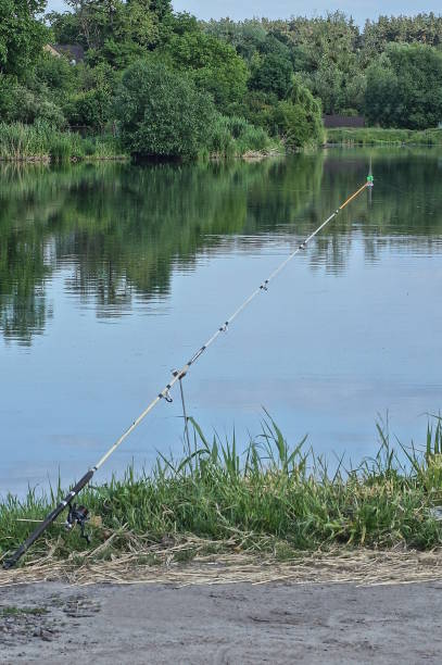 istock one gray spinning rod stands in green grass on the shore 1497452964