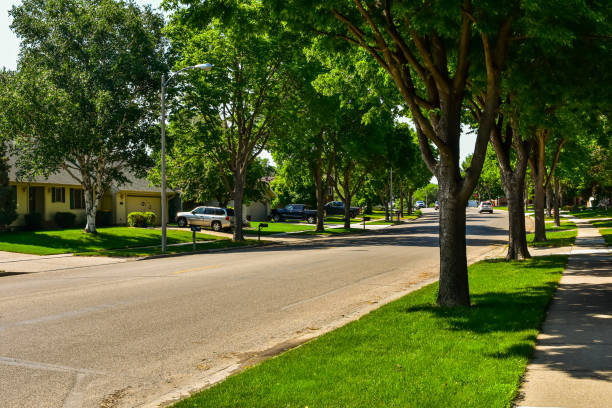istock Clean quiet comfortable neighborhood in growing city. 1497454101