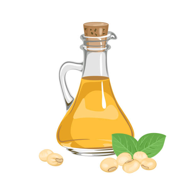 sojaöl in der glasflasche. vektor-cartoon-illustration von gesunden bio-lebensmitteln - soybean isolated seed white background stock-grafiken, -clipart, -cartoons und -symbole