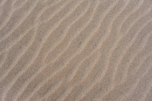 istock Wavy sand dunes textures on the beach or desert background 1497457286