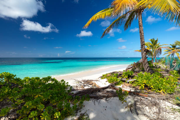 istock Shoal Bay Anguilla 1497457360