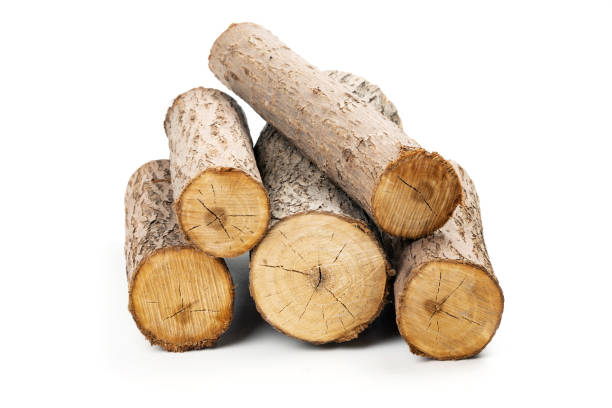 Wilo Log 80+ Willow Log Isolated Stock Photos, Pictures & Royalty-Free Images ...
