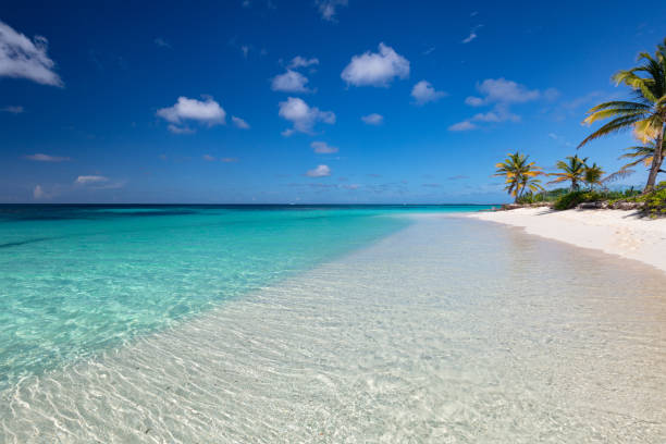 istock Shoal Bay Anguilla 1497457759
