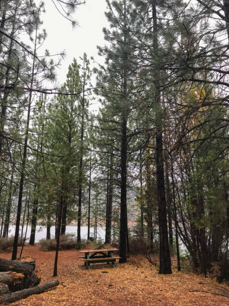 istock Mount Shasta City Park 1497459189