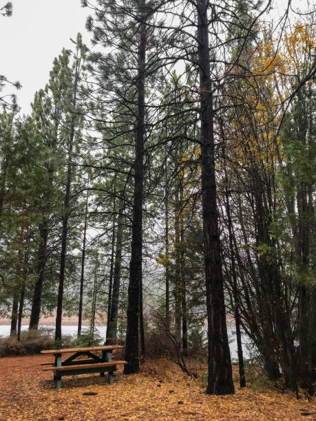 istock Visiting Mount Shasta City Park in California 1497459190