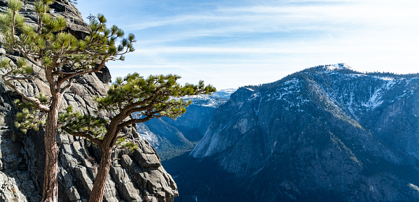 The Upper Yosemite Trail in Yosemite National Park
