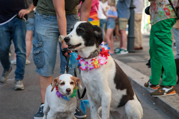 New York City, USA - October 19, 2025 : Crowd of people and dogs wearing costume in disguise gather and attend the 35th Annual Tompkins Square Halloween Dog Parade in East Village