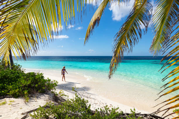 istock Woman at Shoal Bay 1497461159