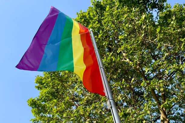 istock Rainbow LGBTQIA flag outdoors. 1497461391