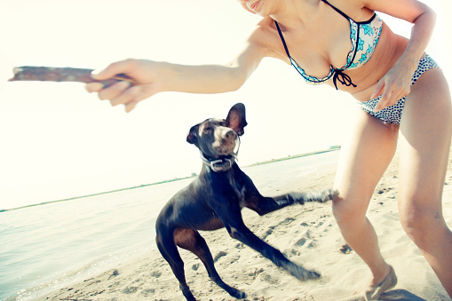 Happy woman in vacation playing with her dog at the summer beach. Artistic colors added