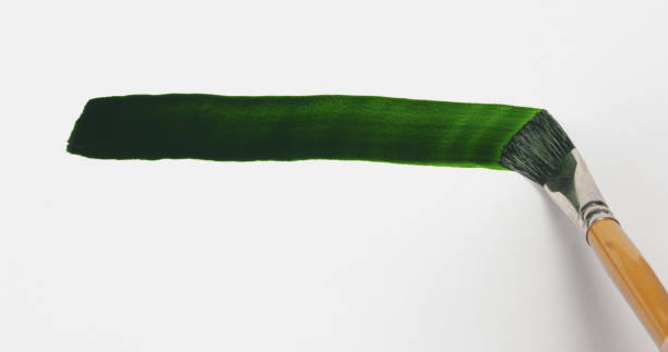 istock white paper with green paint with brush 1497463284