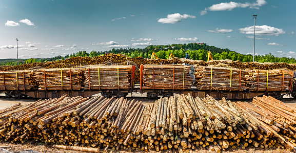 Storage, loading and transportation of timber