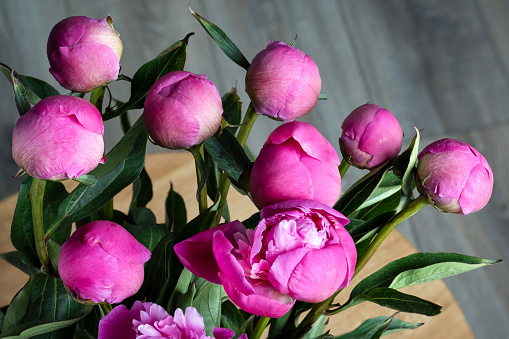 A bouquet of peonies stands in a vase on a round wooden table. Flower buds. Selective focus.