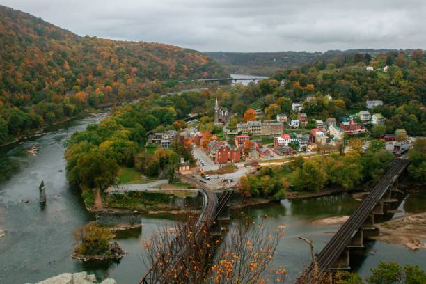 istock a river in a forested area with a bridge over it 1497466655