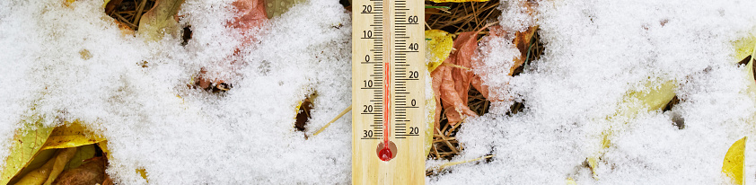 Thermometer showing zero degrees lies among the yellow autumn foliage and freshly fallen snow. Weather forecast. Cold snap, frosts and the first snow. Web banner. Close-up
