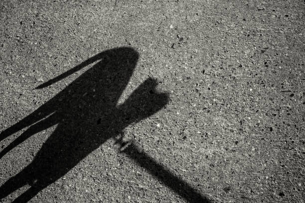 istock Dog shadow on the street 1497471721