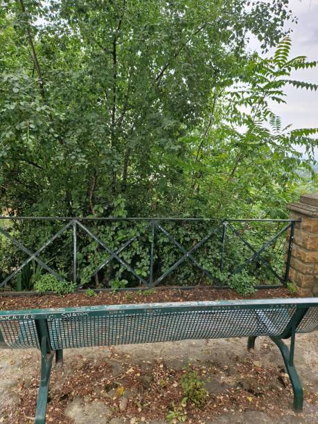 istock Park bench without a view - overgrown bush, not well maintained 1497472069