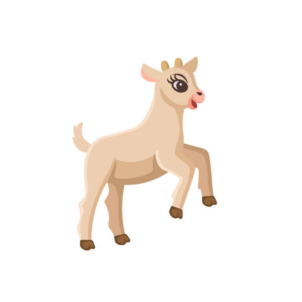 istock Cartoon little goat jumping and playing, for kids. Farm animals.Vector illustration 1497482454