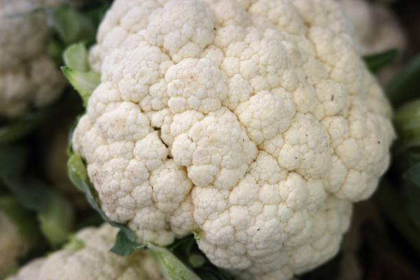 cauliflower stock photo
