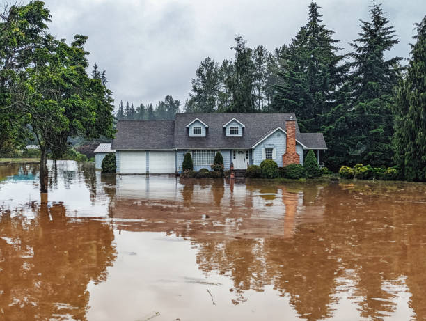 House Exterior Flood Disaster stock photo