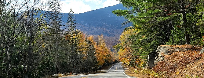 Evergreen trees and colorful maple trees line a country road leading to a mountain in the distance.